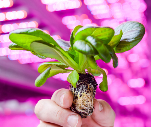 �w�����cGSF�y�����I(l��ng)�҃�(n��i)�r(n��ng)�I(y��)�r(sh��)��_2