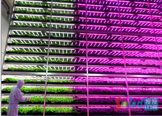 QQ�؈D20140707161706