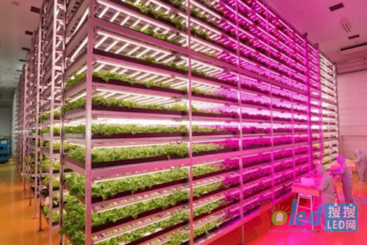 QQ�؈D20140730102607