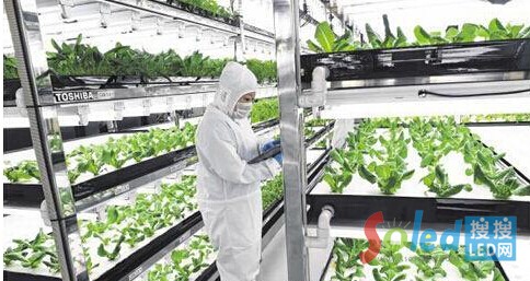 &ldquo;�������߲ˈ@&rdquo;���T�����ڙz���߲˵����L��r