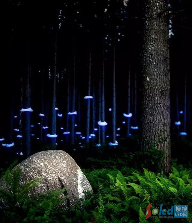 ɭ�����&ldquo;��&rdquo;��