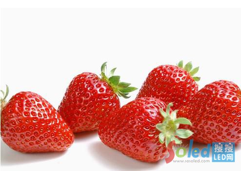 ѩ�R��12W ���ݟ�֮�@ɫָ��(sh��)