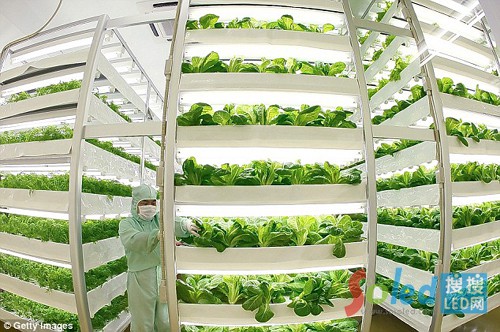 ֲ��L(f��ng)ED����