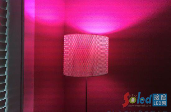 �{������LED����