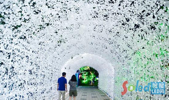 ����ɫ�đ���֮·