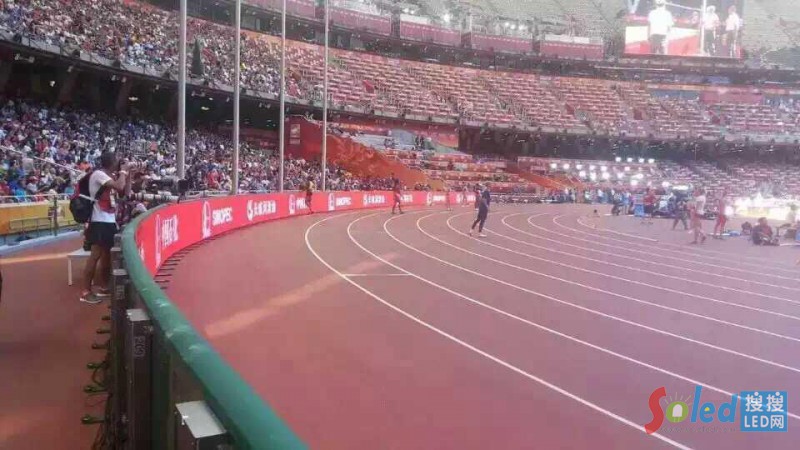 ����ɭP10�����