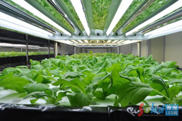 LED�c�C���˺��������²ˈ@