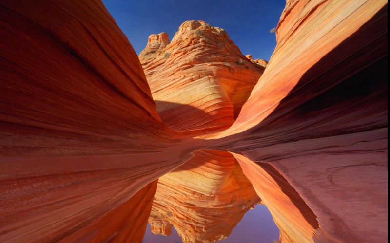 ȥ���D�����