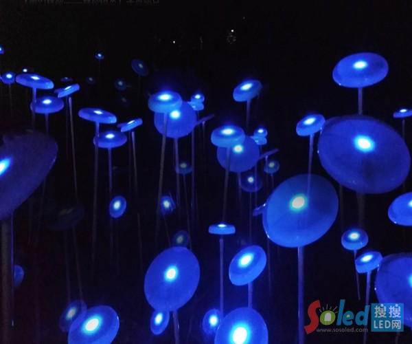 LED燈——森林精靈