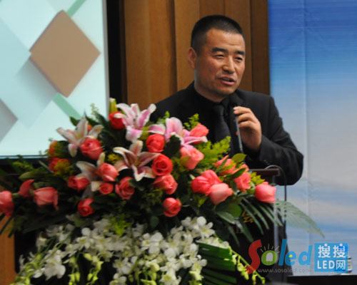 ����ɭ�����������t