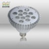 ���S���l(f��) 12w LED��� par38