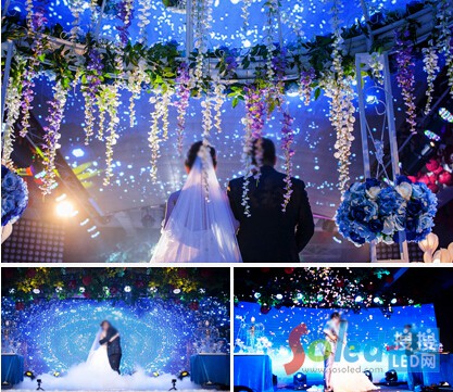 ��(qi��ng)���޲�